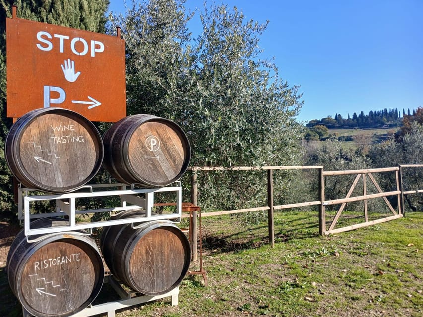 San Gimignano: Winery Visit with Picnic in Olive Grove - Who will enjoy this experience most