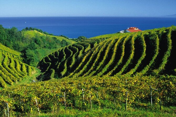 San Juan de Gaztelugatxe with Winery Visit and Lunch (From Bilbao) - The 241-step walk to San Juan Bautista