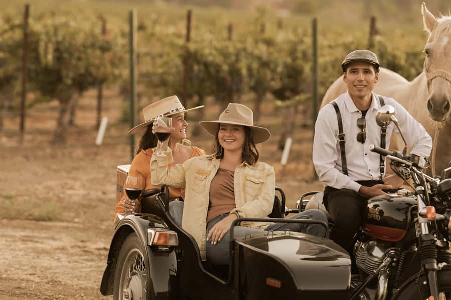 San Luis Obispo: Vineyard Rides Wine Adventure - Who Will Enjoy This Most?