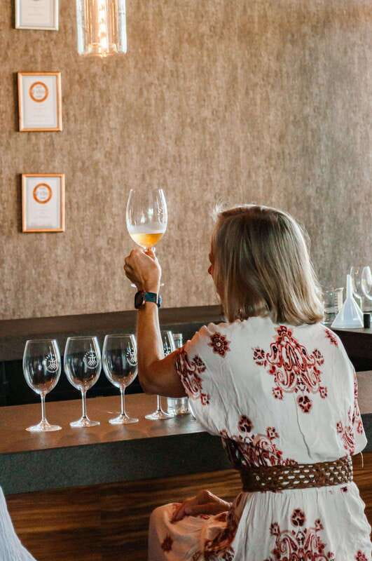 San Miguel de Allende: Local Vineyard Tour & Wine Tasting - Arriving at the Grand Tres Raices Winery