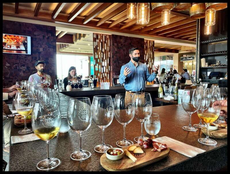 San Miguel de Allende: Local Vineyard Tour & Wine Tasting - Who Will Enjoy This Afternoon Most?