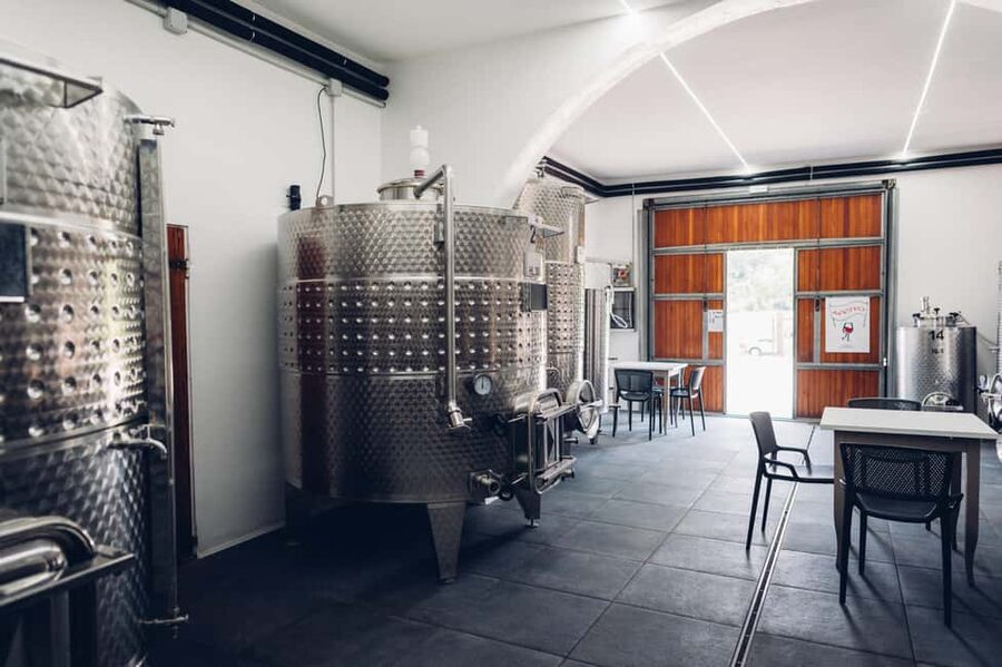 San Miniato: Organic Wine Tour & Tasting at a Family-Winery - Walking the vineyards and olive trees