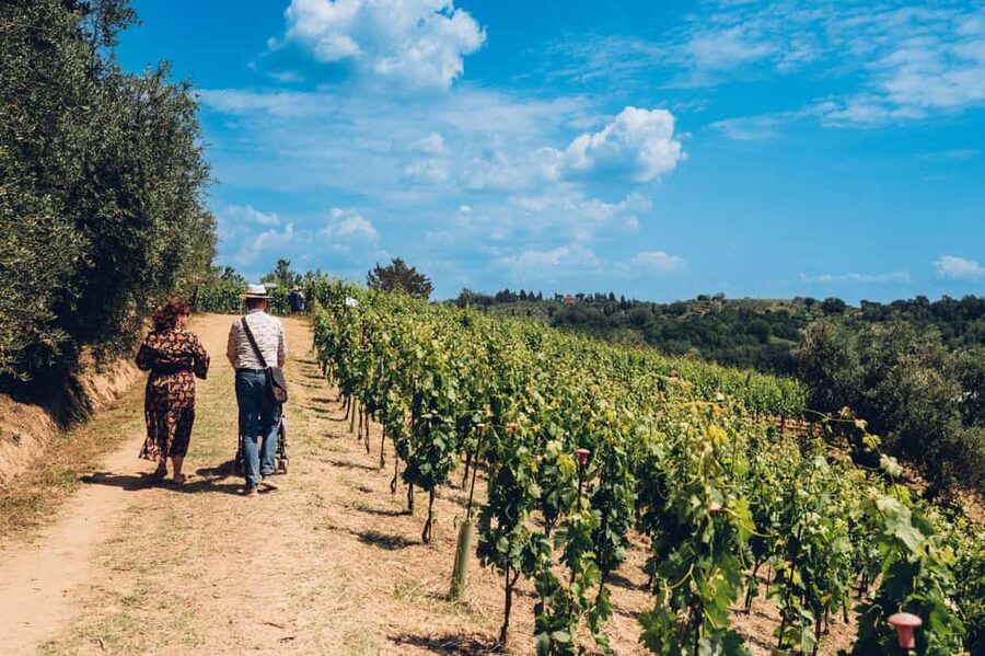San Miniato: Organic Wine Tour & Tasting at a Family-Winery - Six wines, from Biondo Bianco to Colorino