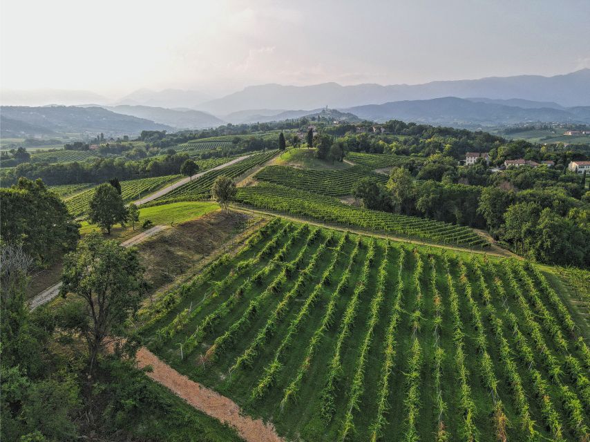 San Pietro di Feletto: Vineyard Tour with Cellar Visit - Who Will Enjoy This Two-Hour Tour Most?