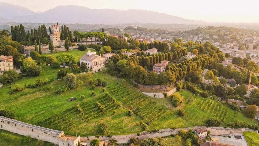 San Pietro di Feletto: Vineyard Tour with Cellar Visit - An Underground Cellar With a Local Sense of Place