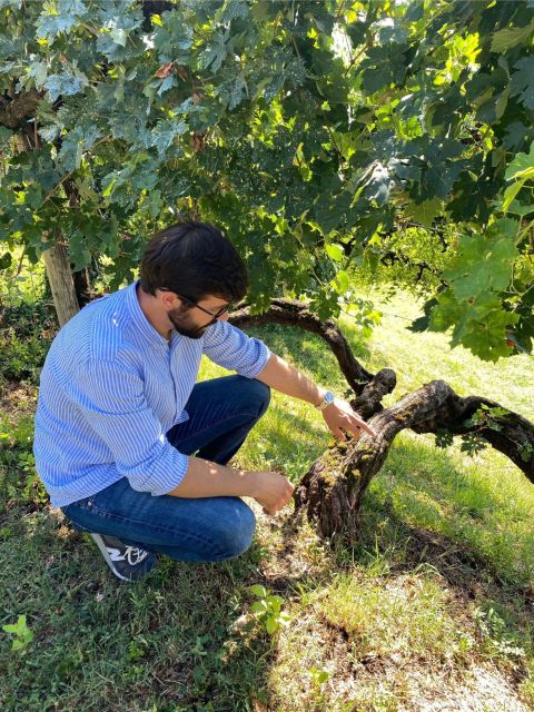 San Pietro di Feletto: Vineyard Tour with Cellar Visit - Is $70 Per Person Good Value?
