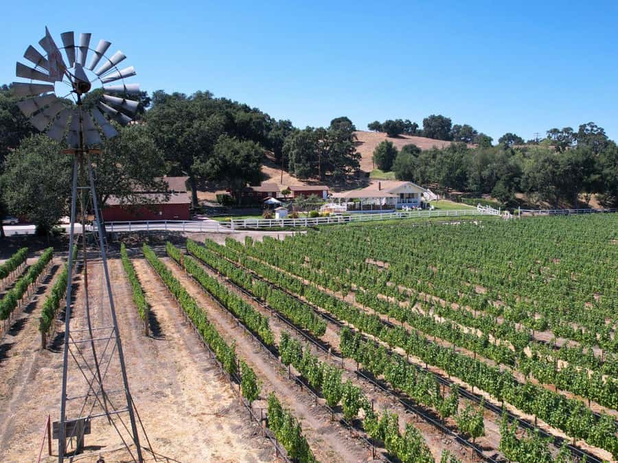 Santa Barbara: 3-Winery Tour Includes Tastings & Lunch inSYV - Who should book this wine tour?