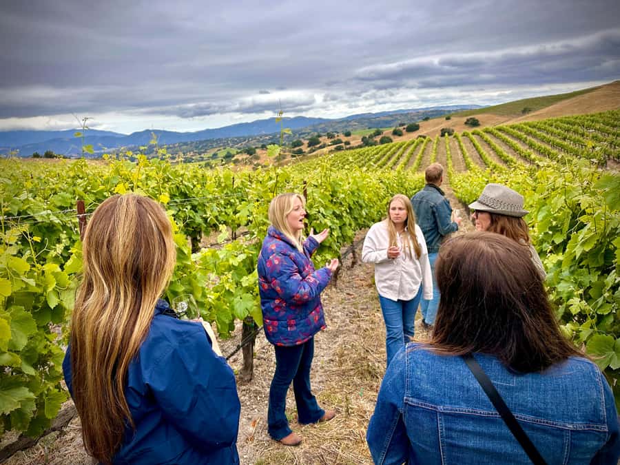 Santa Barbara Small-Group Wine Tour to Private Estates - Key points to know before booking