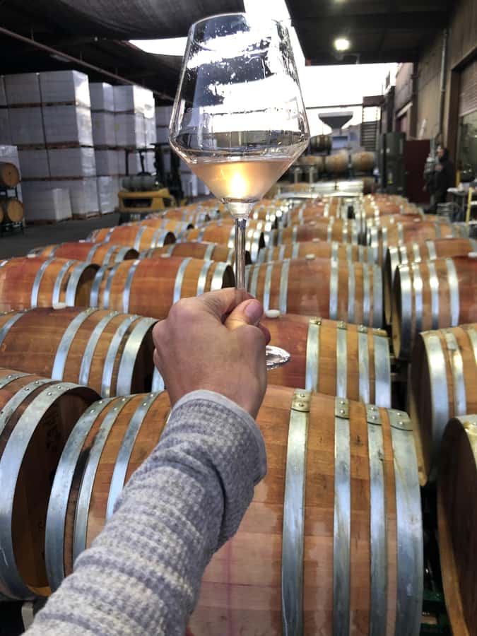 Santa Barbara Small-Group Wine Tour to Private Estates - What the vineyard visits are like