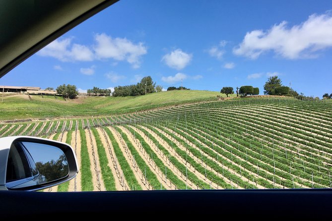 Santa Barbara Small-Group Wine Tour to Private Estates & Wineries - Why private estates change the wine-tour experience