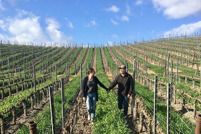 Santa Barbara Small-Group Wine Tour to Private Estates & Wineries - Who will enjoy this Santa Barbara wine tour?