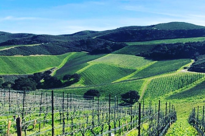 Santa Barbara Wine Country Tour - Is $200 a Fair Price?