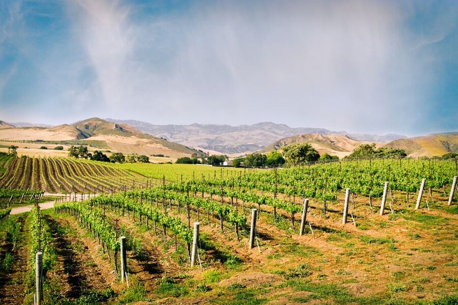 Santa Barbara: Wine Country Tour with Lunch - Three stops with three different ways to taste