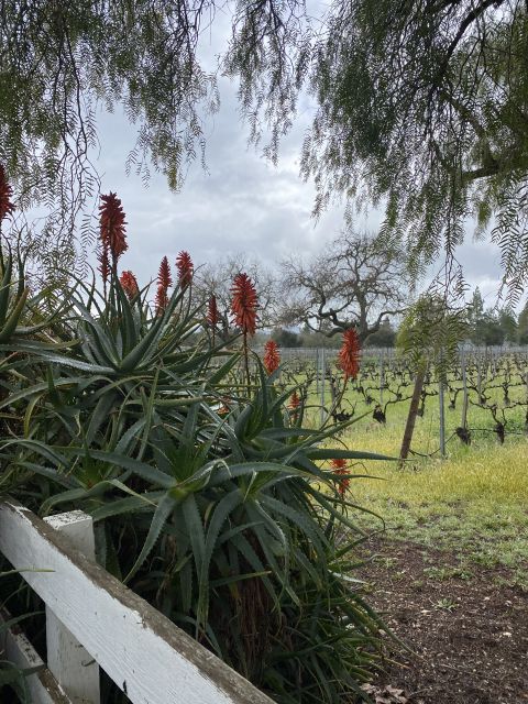 Santa Barbara: Wine Country Tour with Lunch - Who will enjoy this six-hour outing