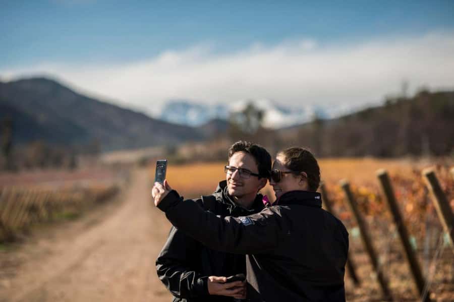 Santa Rita Vineyard Tour: History, Wine, and Outdoor Picnic - Key points to know before you book