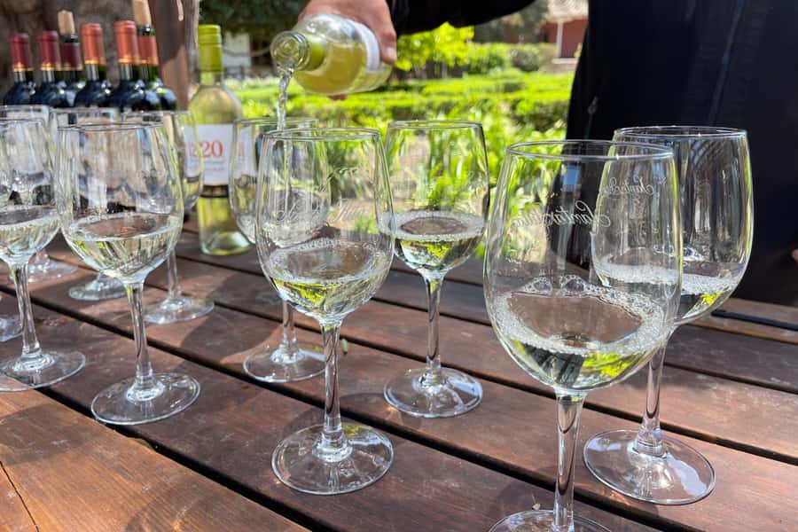 Santa Rita Vineyard Tour: History, Wine, and Outdoor Picnic - What the $123 price includes