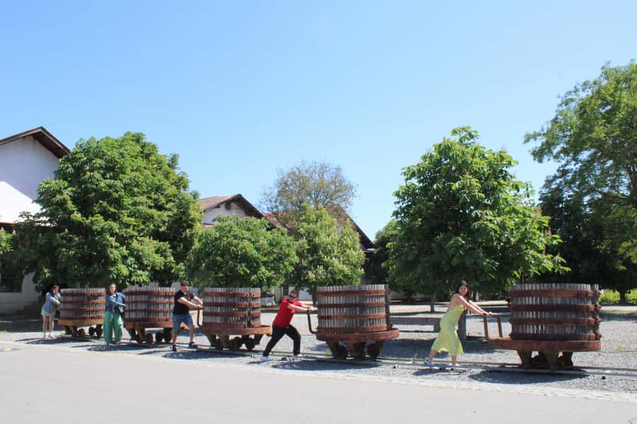 Santa Rita Vineyard Tour: History, Wine, and Outdoor Picnic - Who will enjoy this Santa Rita day most