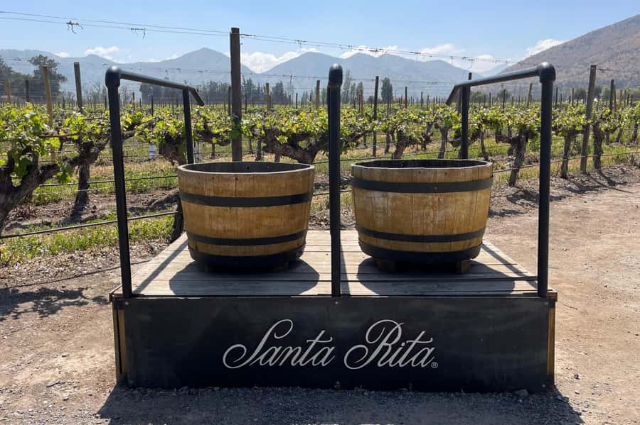 Santa Rita Vineyard Tour: History, Wine, and Outdoor Picnic - Entering Centenary Park and the vineyard grounds