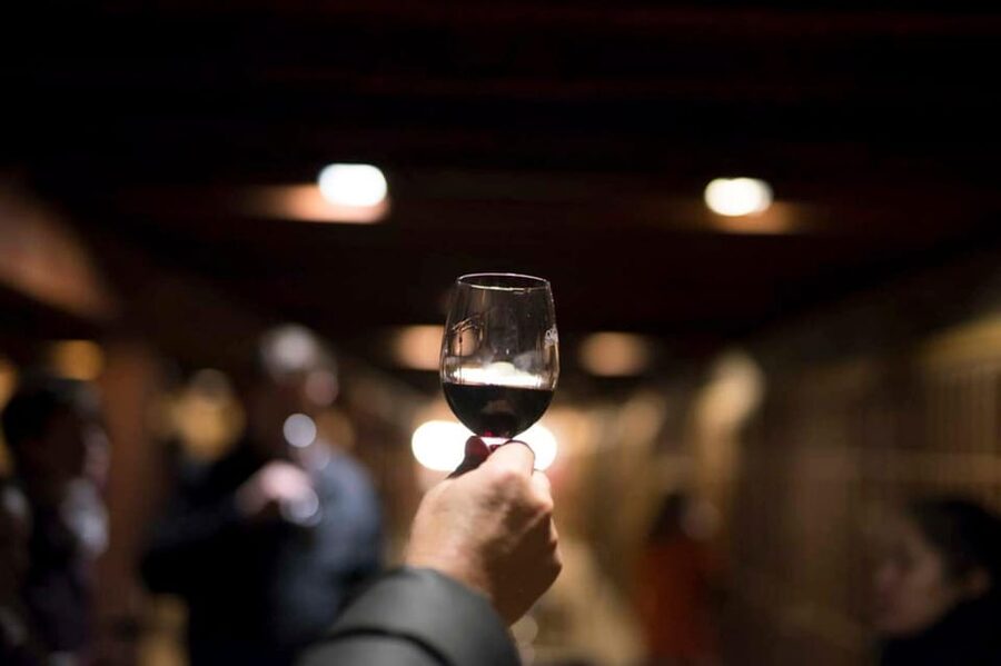 Santa Rita Vineyard Tour with Lunch, an Unforgettable Day! - Is the $207 price fair?