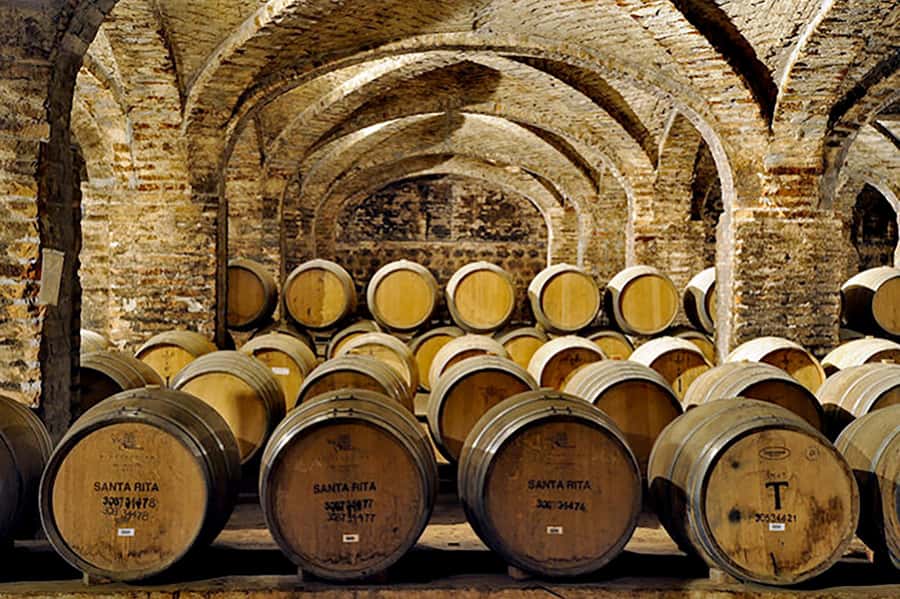 Santa Rita Vineyard Tour with Lunch, an Unforgettable Day! - The Andean Museum adds a welcome change of pace