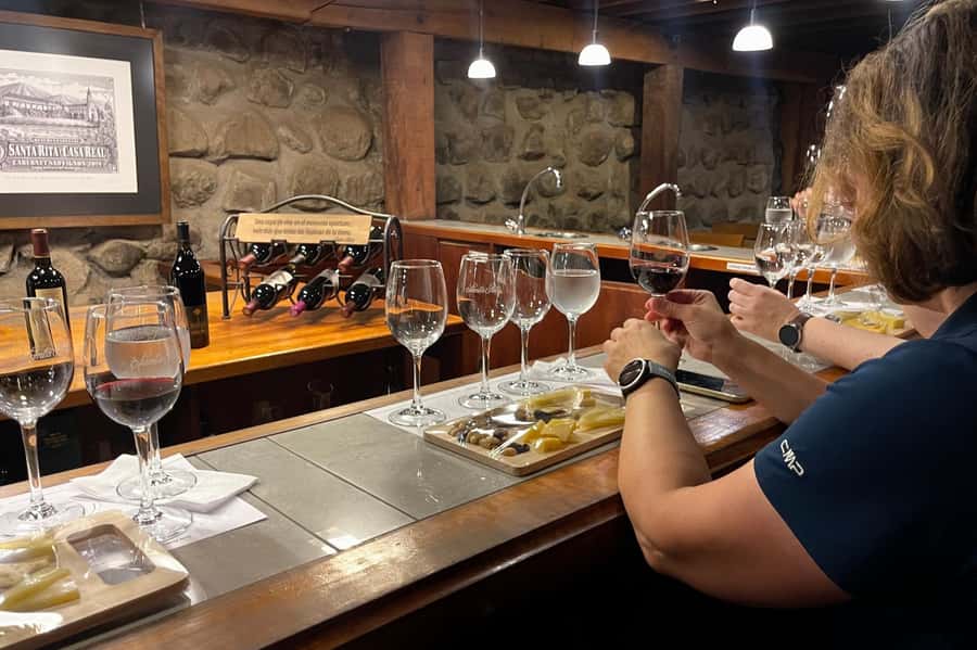 Santa Rita Vineyard Tour with Lunch, an Unforgettable Day! - Transport, meeting points, and the long return to Santiago