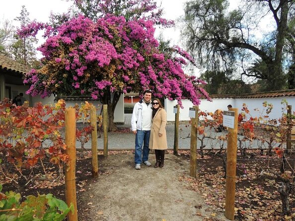 Santa Rita Winery Selection Tour - Why Santa Rita works for a short wine visit