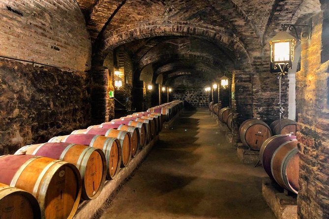 Santa Rita Winery Selection Tour - The Andean Museum after the wine