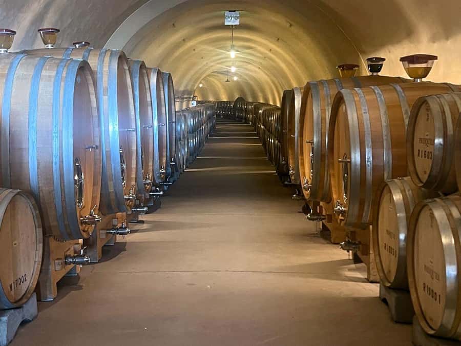 Santa Ynez: 3-Winery Tour Includes Tastings and Lunch - Pickup rules you need to read carefully