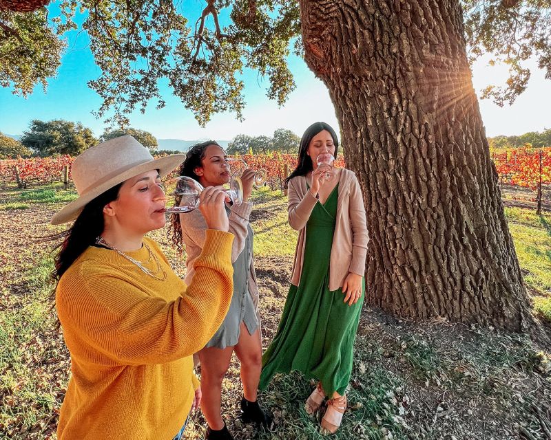 Santa Ynez: Wine Country Tour - Pickup across seven Santa Barbara and valley locations