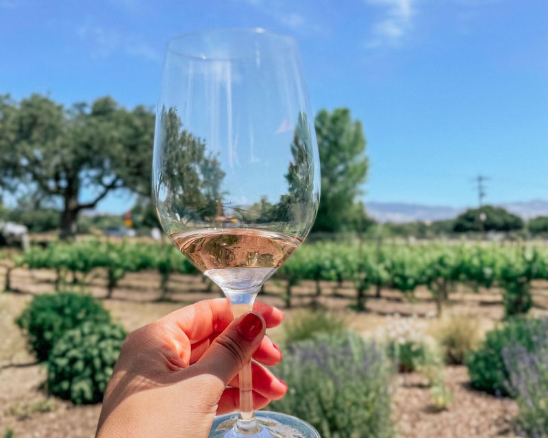 Santa Ynez: Wine Country Tour - The final 75-minute stop can be the most varied