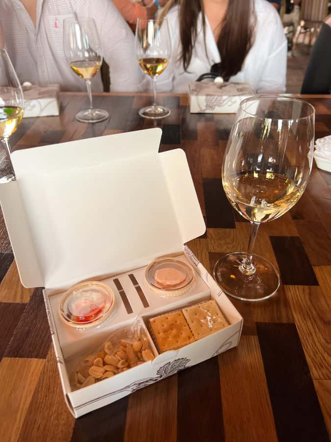 Santiago: Alyan Winery Sunset with Wine Tastings and Dinner - Tasting the Family Ambassador wines