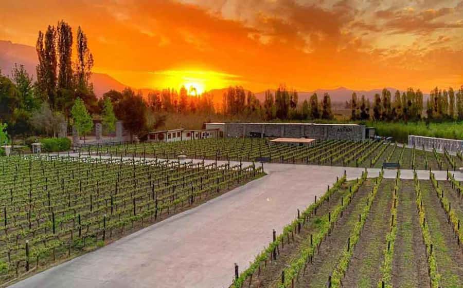 Santiago: Alyan Winery Sunset with Wine Tastings and Dinner - What the price means at $111