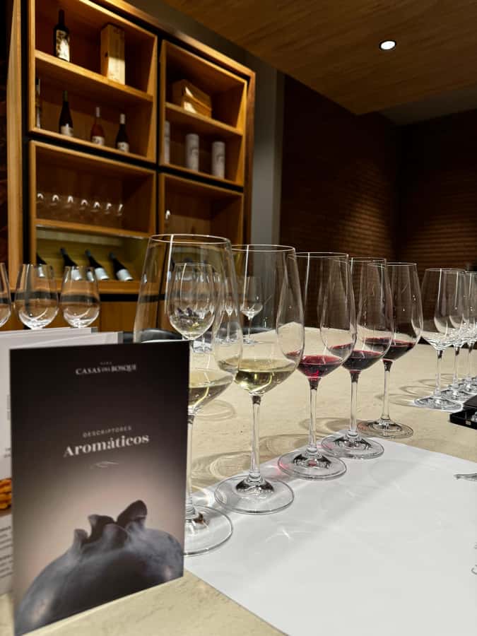 Santiago: Casa del Bosque Winery with Tasting and Lunch - Four tastings in a comfortable setting