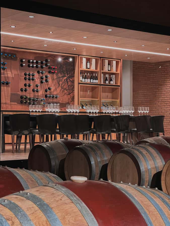Santiago: Casa del Bosque Winery with Tasting and Lunch - What the experience does especially well