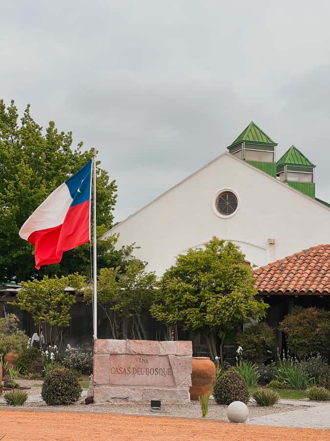 Santiago: Casa del Bosque Winery with Tasting and Lunch - Pickup from Santiago: convenient, but timing matters