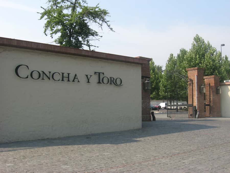 Santiago: Concha y Toro and Undurraga Vineyards Tour - What to bring and what to leave behind