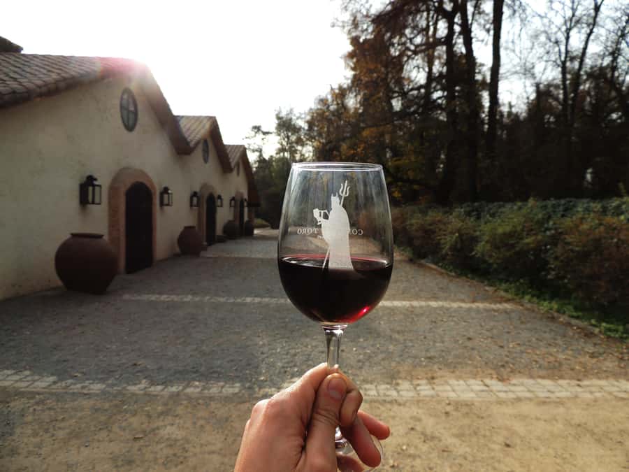 Santiago: Concha y Toro and Undurraga Vineyards Tour - Starting at Undurraga at 8:00 AM