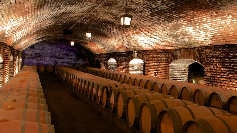 Santiago: Concha y Toro Vineyard Tour w/ Transfer & Tasting - Seeing the vineyards in Pirque