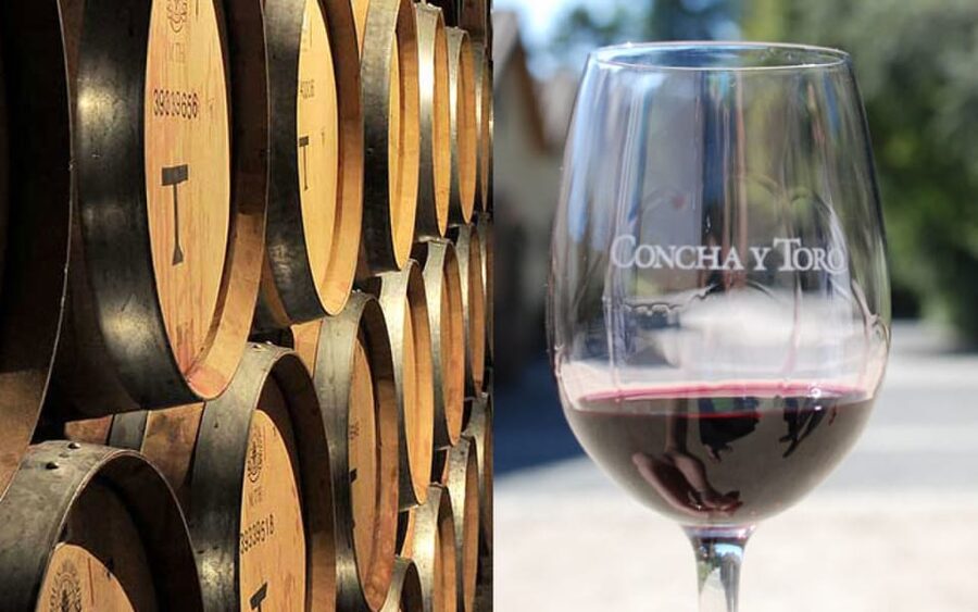 Santiago: Concha y Toro Vineyard Tour w/ Transfer & Tasting - Final verdict: convenient, polished, and worth it for the right visitor