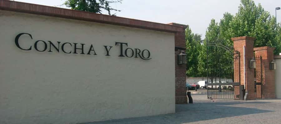 Santiago: Concha y Toro Winery 4–Hour Tour & Sommelier Class - A four-hour winery visit with a bigger time commitment