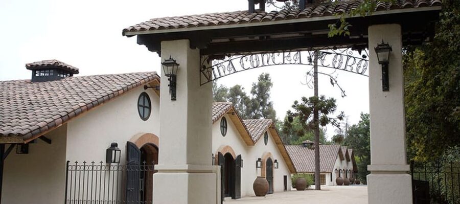 Santiago: Concha y Toro Winery 4–Hour Tour & Sommelier Class - The Garden of Varieties and 26 grape types