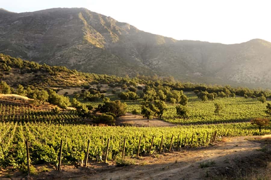 Santiago: Concha y Toro Winery 4–Hour Tour & Sommelier Class - Old Pirque and the Maipo Valley view