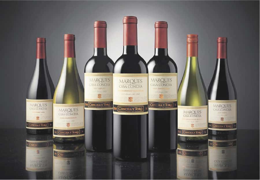 Santiago: Concha y Toro Winery 4–Hour Tour & Sommelier Class - The sommelier class and cheese pairing