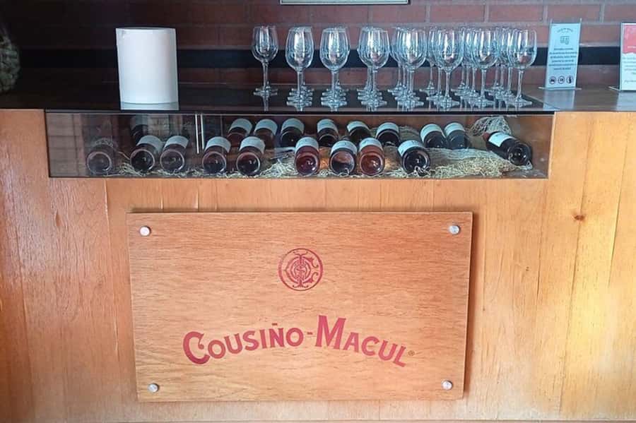 Santiago: Cousiño Macul Vineyard Premium Tasting Tour - Practical tips for a smoother visit