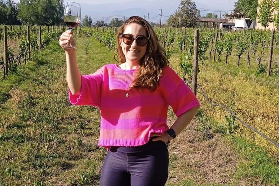 Santiago: Cousiño Macul Vineyard Premium Tasting Tour - The original 1856 cellar is the anchor