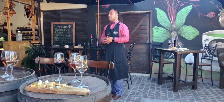 Santiago de Querétaro: Pueblos Mágicos Cheese and Wine Route - Freixenet’s 25-meter underground cava