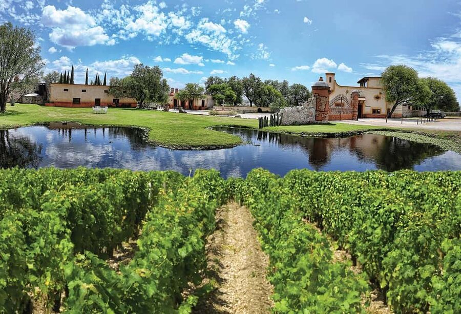 Santiago de Querétaro: Pueblos Mágicos Cheese and Wine Route - Starting with 14 cheeses and two wines