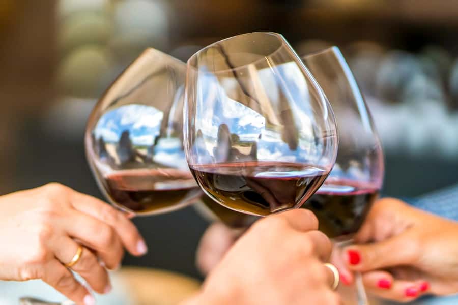 Santiago: Main Chilean Wineries Private Half-Day Tours - Who should choose this tour
