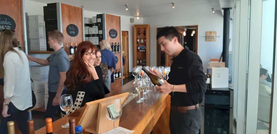 Santiago: Main Chilean Wineries Private Half-Day Tours - Price and what you receive for $290