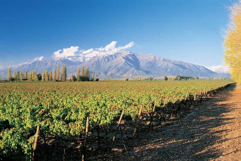 Santiago: Main Chilean Wineries Private Half-Day Tours - Practical details before you book